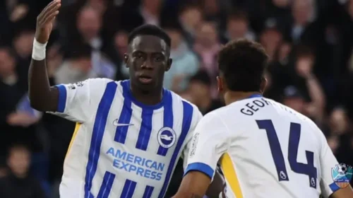 Brighton Overcomes Tottenham in Thrilling 3-2 Victory