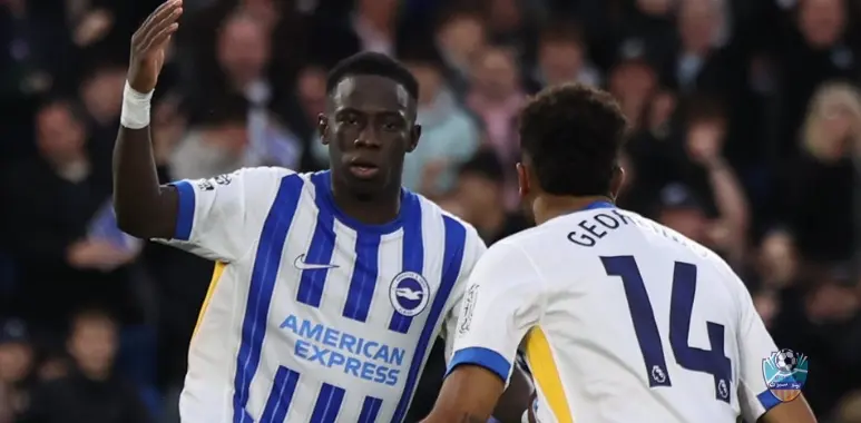 Brighton Overcomes Tottenham in Thrilling 3-2 Victory